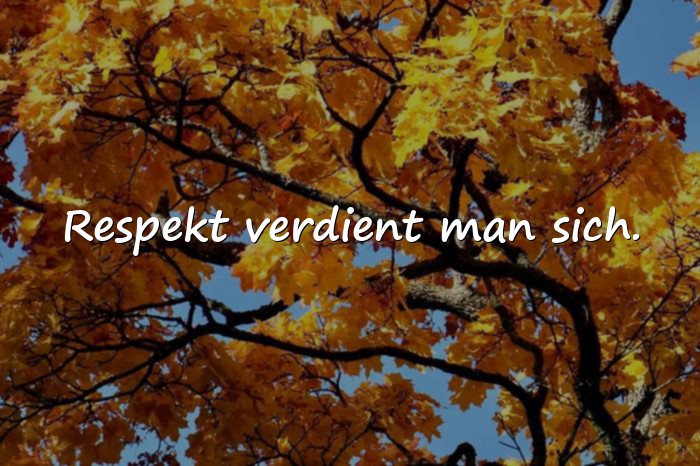 Bilder mit coole sprüche - 24