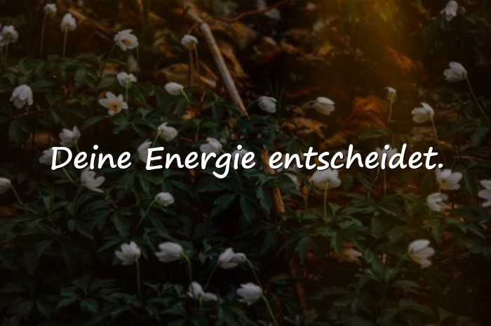 Bilder mit coole sprüche - 19