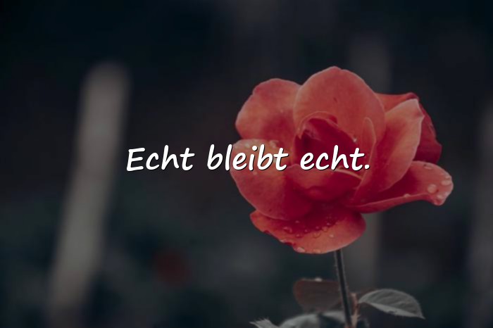 Bilder mit coole sprüche - 15