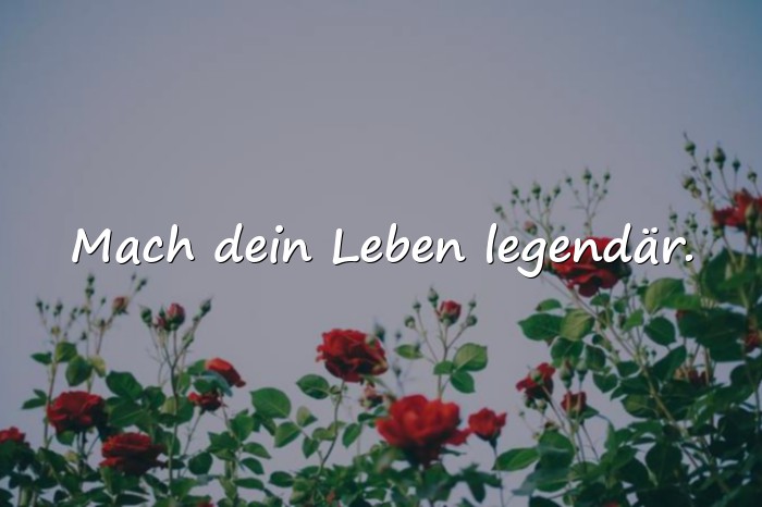 Bilder mit coole sprüche - 1