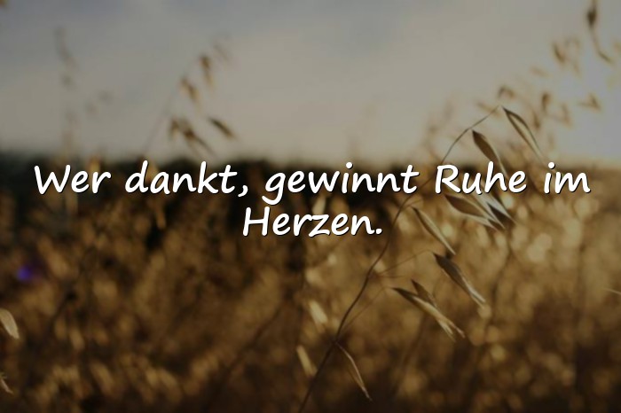 Bilder mit dankbar sprüche - 13