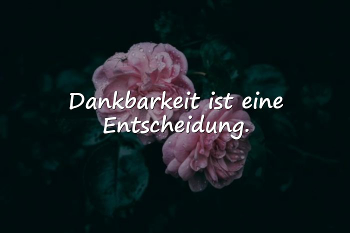 Bilder mit dankbar sprüche - 8