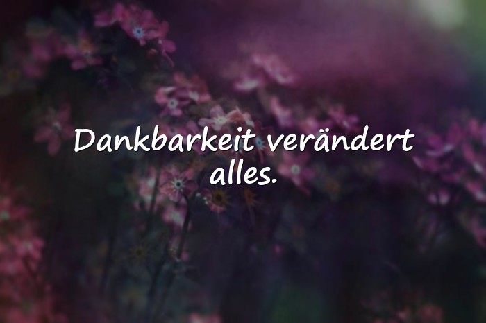 Bilder mit dankbar sprüche - 3