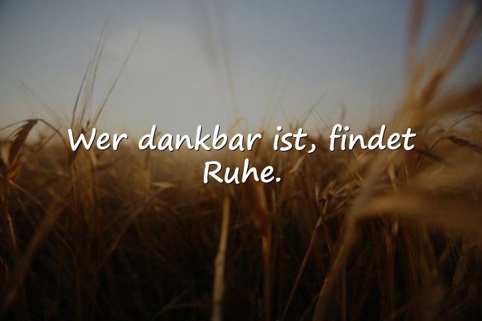 Bilder mit dankbar sprüche - 24