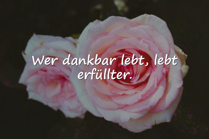 Bilder mit dankbar sprüche - 10