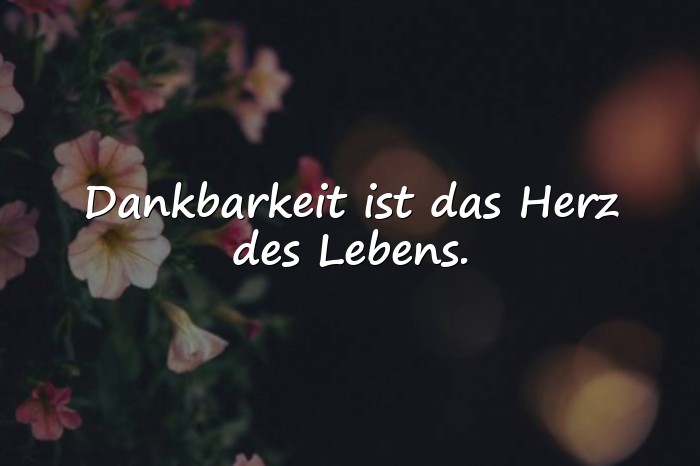 Bilder mit dankbar sprüche - 1