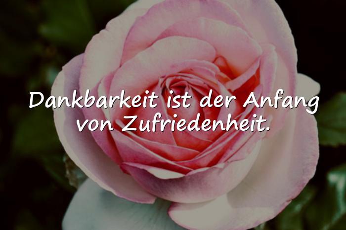Bilder mit dankbarkeit sprüche - 3
