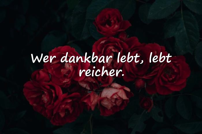 Bilder mit dankbarkeit sprüche - 25