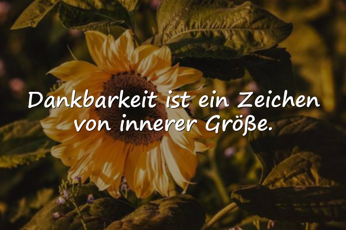 Bilder mit dankbarkeit sprüche - 19