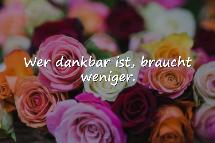 Bilder mit dankbarkeit sprüche - 11