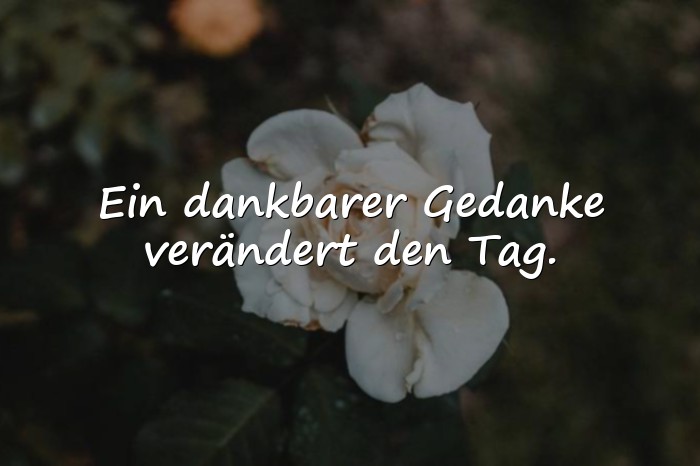 Bilder mit dankbarkeit sprüche - 6