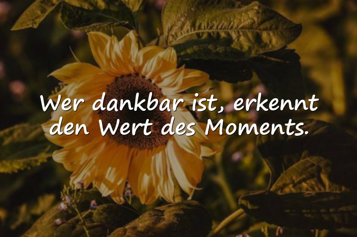 Bilder mit dankbarkeit sprüche - 4