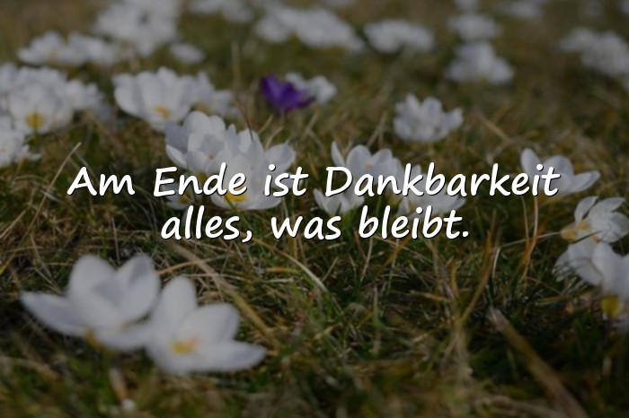 Bilder mit dankbarkeit sprüche - 1