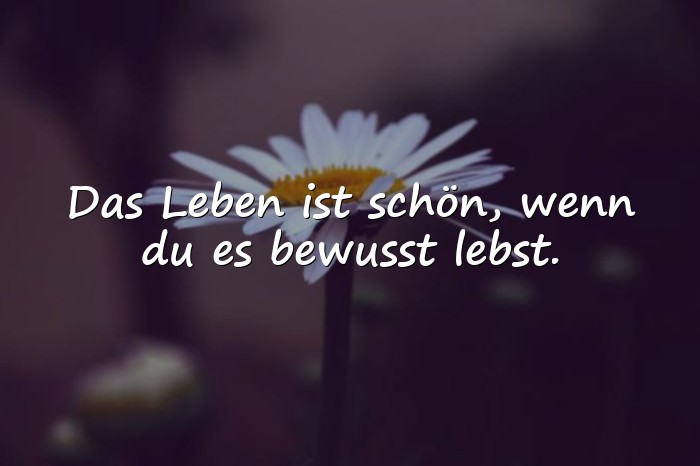 Bilder mit das leben ist schön sprüche - 11