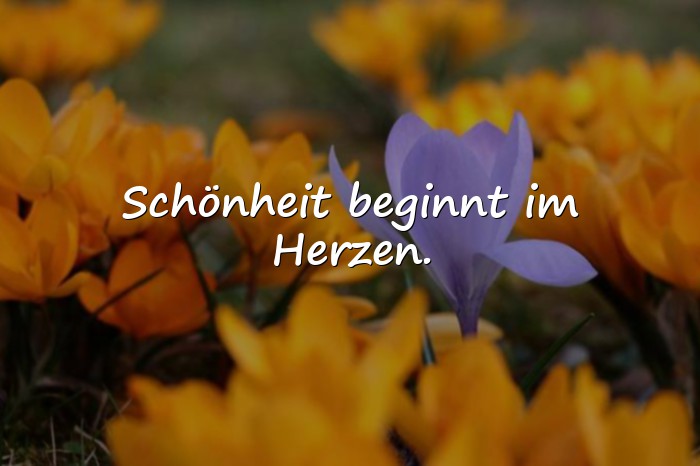 Bilder mit das leben ist schön sprüche - 8