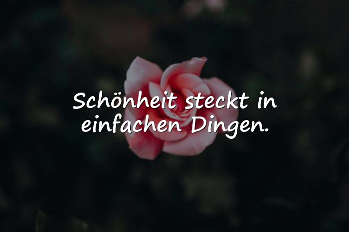 Bilder mit das leben ist schön sprüche - 25