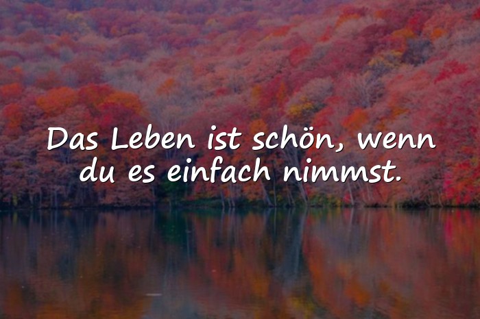 Bilder mit das leben ist schön sprüche - 14