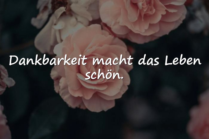 Bilder mit das leben ist schön sprüche - 10