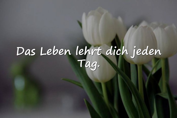 Bilder mit das leben sprüche - 8
