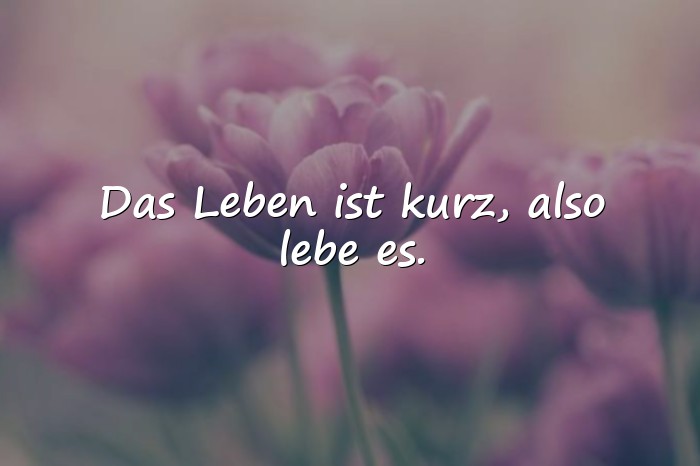 Bilder mit das leben sprüche - 6