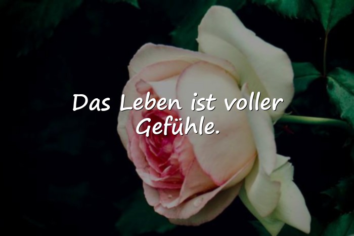 Bilder mit das leben sprüche - 25