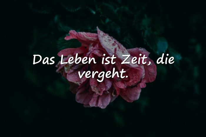 Bilder mit das leben sprüche - 21