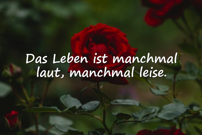 Bilder mit das leben sprüche - 16