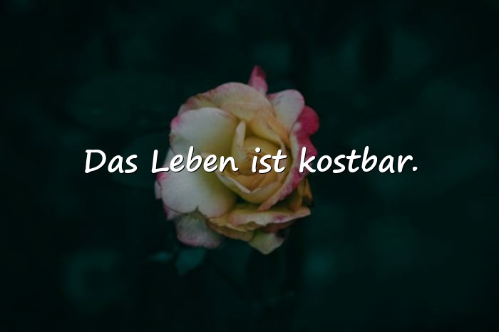 Bilder mit das leben sprüche - 13