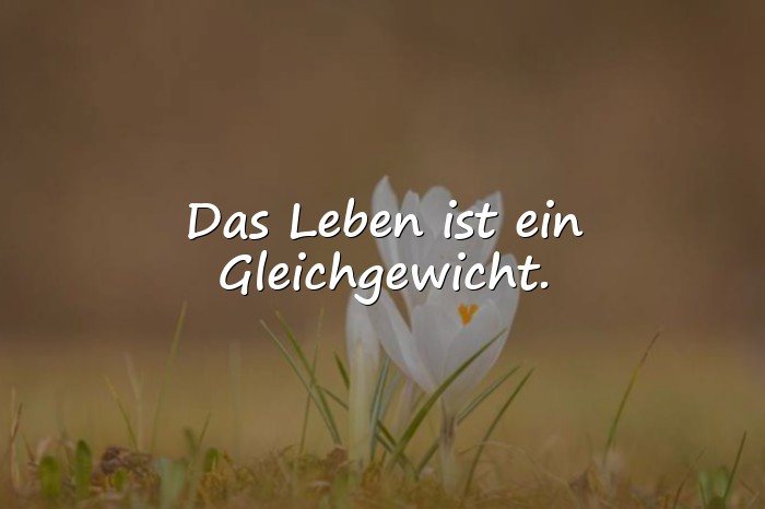 Bilder mit das leben sprüche - 10
