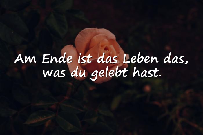 Bilder mit das leben sprüche - 1