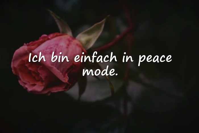 Bilder mit denglisch sprüche - 16
