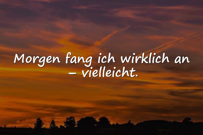 Bilder mit dumme sprüche - 18