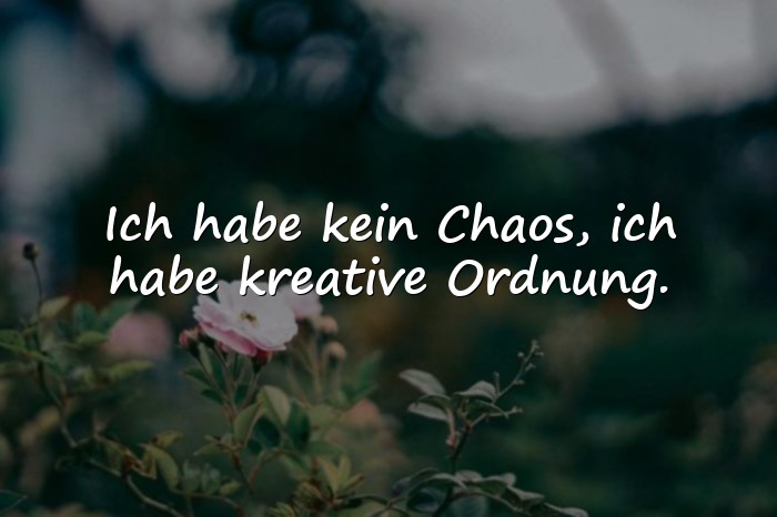 Bilder mit dumme sprüche - 13