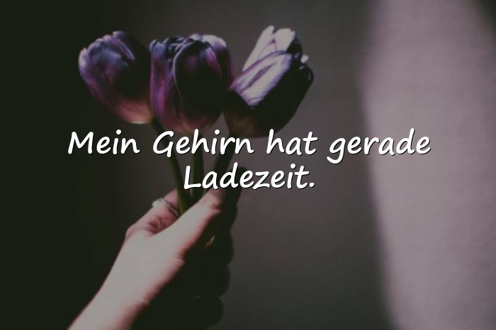 Bilder mit dumme sprüche - 9