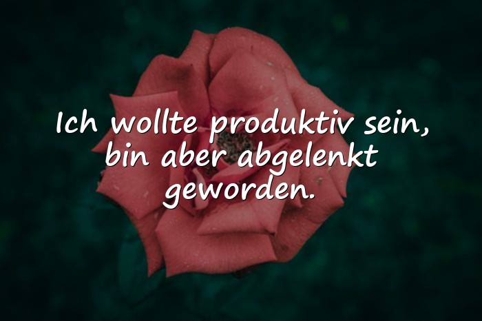 Bilder mit dumme sprüche - 4