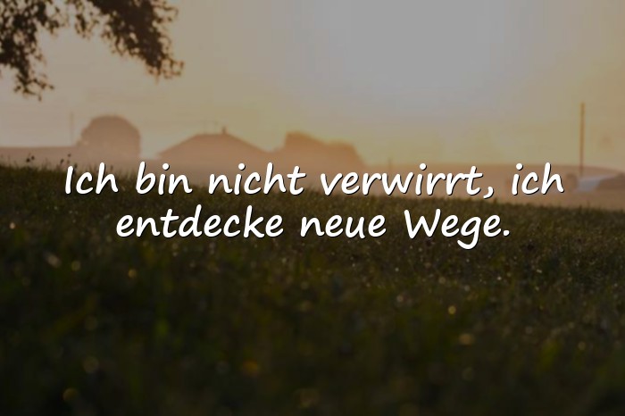 Bilder mit dumme sprüche - 24