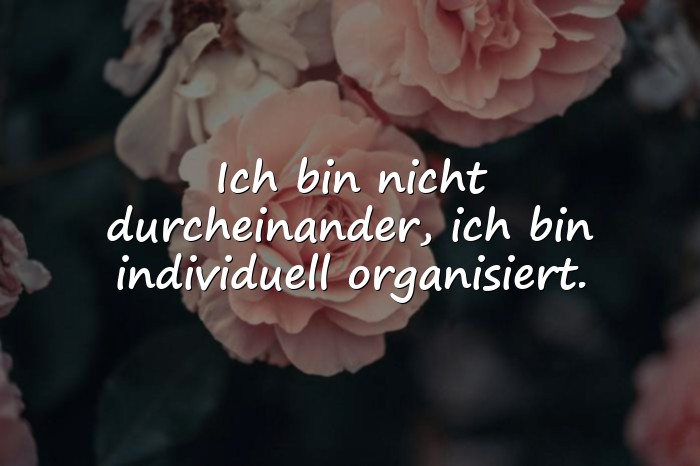 Bilder mit dumme sprüche - 10