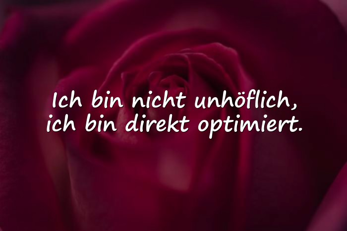 Bilder mit dumme sprüche - 6