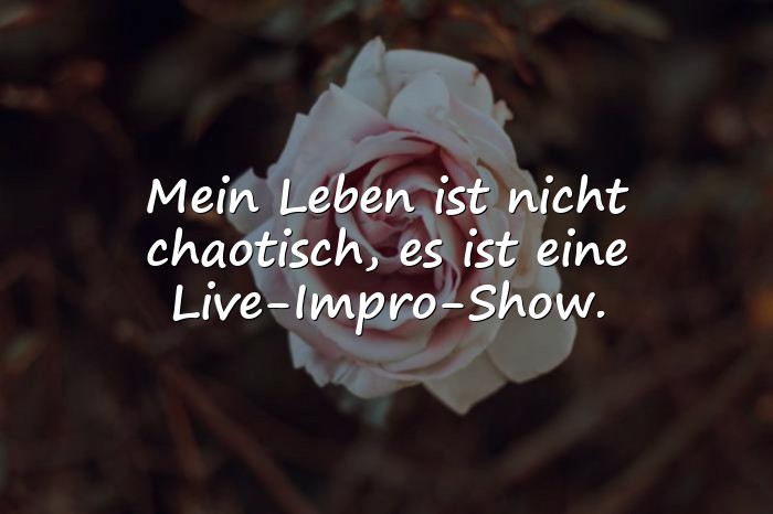 Bilder mit dumme sprüche - 1