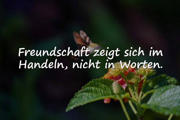 Bilder mit echte freunde sprüche - 15