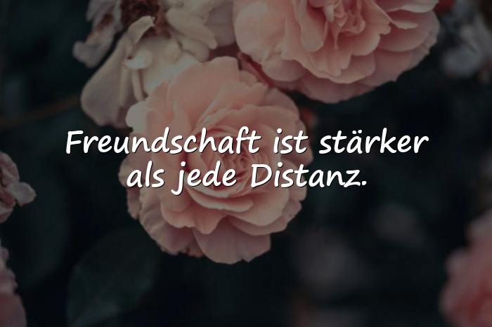 Bilder mit echte freunde sprüche - 10