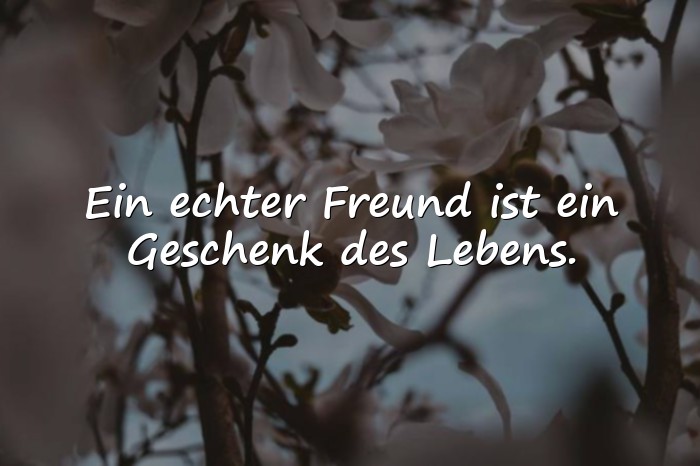 Bilder mit echte freunde sprüche - 5