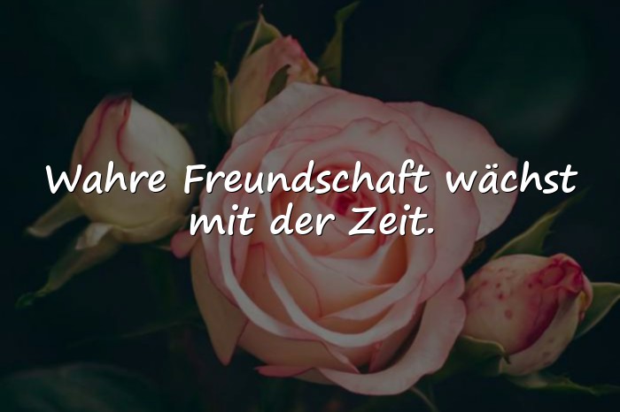 Bilder mit echte freunde sprüche - 25