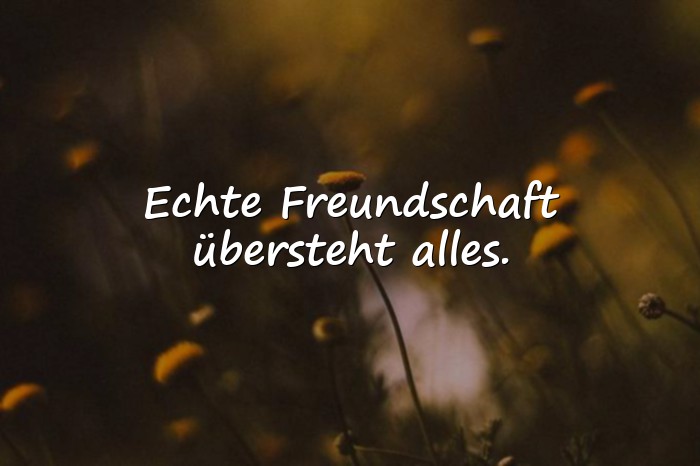 Bilder mit echte freunde sprüche - 20
