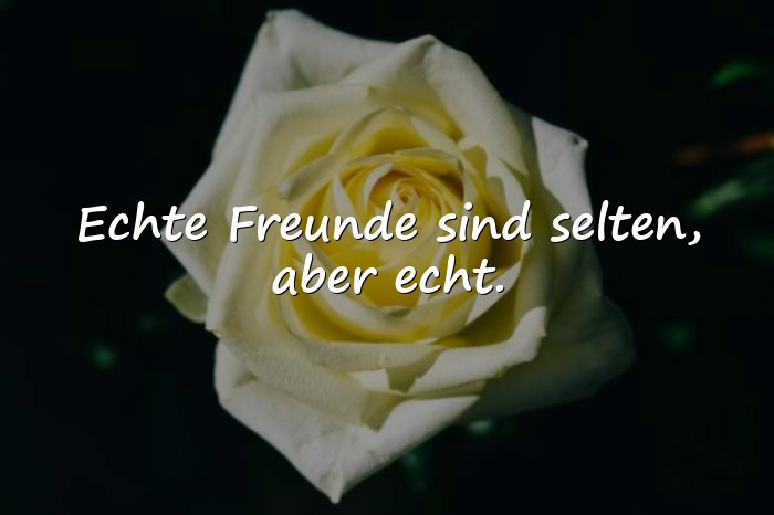 Bilder mit echte freunde sprüche - 16