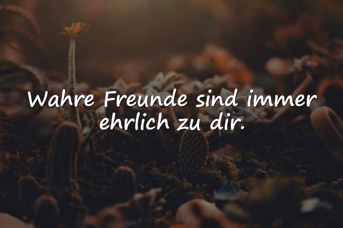 Bilder mit echte freunde sprüche - 11
