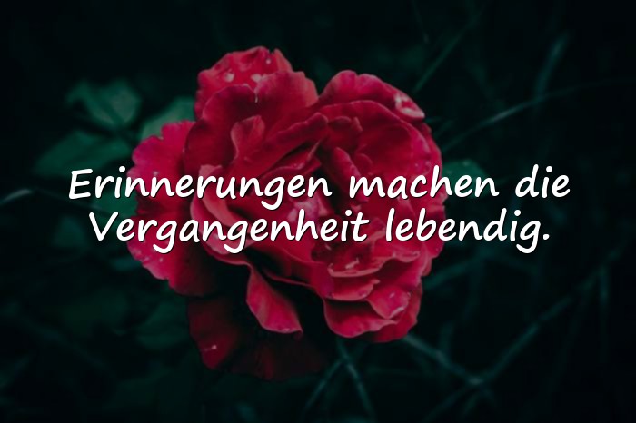 Bilder mit erinnerung sprüche - 16