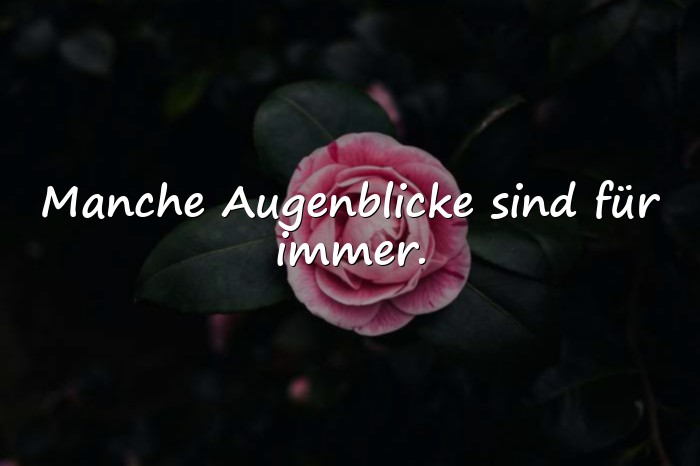 Bilder mit erinnerung sprüche - 12