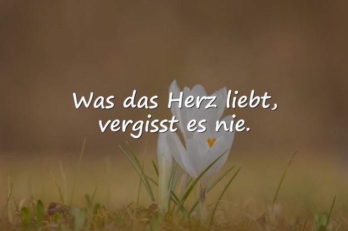 Bilder mit erinnerung sprüche - 4