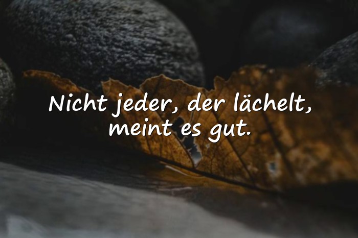 Bilder mit falsche menschen sprüche - 11